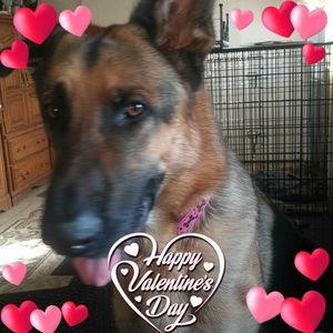 Meet your Posher, Debra